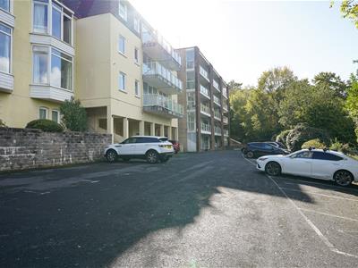 Picture 25